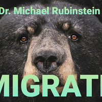 MIGRATE DLX COIN by Dr. Michael Rubinstein - Trick