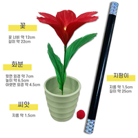 WAND TO FLOWER by JL Magic - Trick