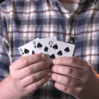 Bigblindmedia Presents Blind Faith (Gimmicks and Online Instructions) by Stephen Tucker - The Workers Monte - Trick