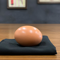 EGG BAG BLACK by Bacon Magic - Trick