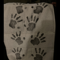 Dirty Drop Cloth Magnetic (MUDDY) by David Alan Magic - Trick