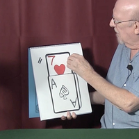 CARDIOGRAPHIC RRP by Martin Lewis - Trick