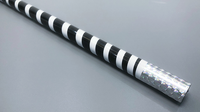The Ultra Cane (Appearing / Metal) Black / White Stripe by Bond Lee - Trick

