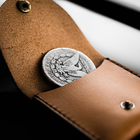 Pocket Portal (Dollar) by Samuel King