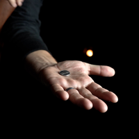 VANISHING NICKEL (Gimmicks and Online Instructions) by John Cornelius - Trick