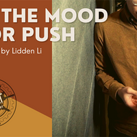 The Vault - In The Mood For Push by Lidden Li video DOWNLOAD