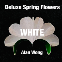 Deluxe Spring Flowers WHITE by Alan Wong - Trick