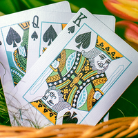 Butterfly Seasons Playing Cards Marked (Spring) by Ondrej Psenicka