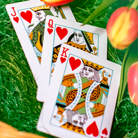 Butterfly Seasons Playing Cards Marked (Spring) by Ondrej Psenicka