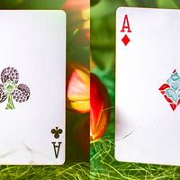 Butterfly Seasons Playing Cards Marked (Spring) by Ondrej Psenicka