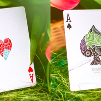 Butterfly Seasons Playing Cards Marked (Spring) by Ondrej Psenicka