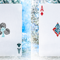 Butterfly Seasons Marked Playing Cards (Winter) by Ondrej Psenicka