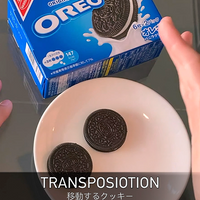 Flipper Cookie (Gimmick and Online Instructions) by Taiwan Ben - Trick