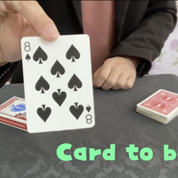 Card to Box by Dingding video DOWNLOAD