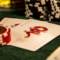Lucky Casino (Marked) Playing Cards
