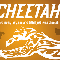 Cheetah by German Dabat and Michel