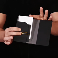 ITINERIS (Gimmicks and Online Instructions) by Radek Hoffmann, Luca Volpe and Alan Wong - Trick