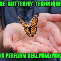 The Butterfly Technique's - How to Perform Real Mind Miraclesby Jonathan Royle mixed media DOWNLOAD