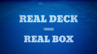 Box Out by Rizki Nanda video DOWNLOAD
