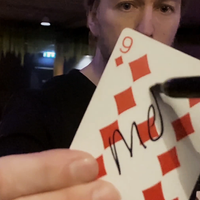 CONCEALED (Gimmicks and Online Instructions) by Peter Eggink - Trick