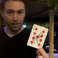 CONCEALED (Gimmicks and Online Instructions) by Peter Eggink - Trick