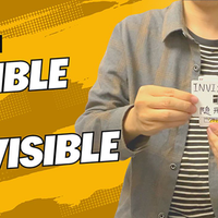 The Vault - Visible or Invisible by Dingding video DOWNLOAD