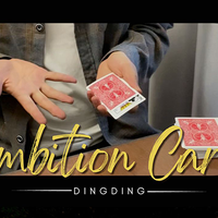 The Vault - Ambition Card by Dingding video DOWNLOAD