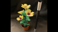 WAND TO SUNFLOWER LARGE by Alan Wong  - Trick
