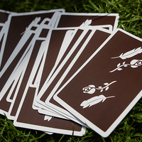 Brown Remedies Playing Cards by Madison x Schneider