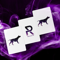 Sirius B V5 Playing Cards by Riffle Shuffle