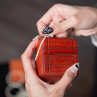 4D BOX (NEST OF BOXES) by Pen, Bond Lee & MS Magic - Trick