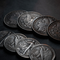 Expert Coin Magic Made Easy Complete Set (David Roth) by Murphy's Magic
