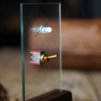 MYSTERY LED by Carpenter Wong - Trick