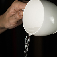 ENDLESS CUP by TCC - Trick