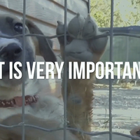 RESCUE MISSION (Gimmicks and Online Instruction) by Matthew Wright - Trick