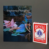 ENCHANTED INSIGHTS RED (English Instruction) by Magic Entertainment Solutions - Trick