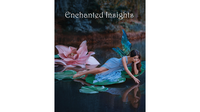 ENCHANTED INSIGHTS RED (English Instruction) by Magic Entertainment Solutions - Trick
