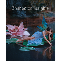 ENCHANTED INSIGHTS RED (English Instruction) by Magic Entertainment Solutions - Trick