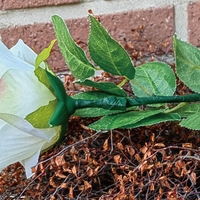 Remote Light Rose Multi-color (Charger Included) by JL Magic - Trick
