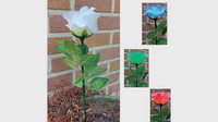 Remote Light Rose Multi-color (Charger Included) by JL Magic - Trick
