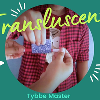 The Vault - Translucent by Tybbe Master video DOWNLOAD