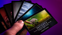 Evoke (Gimmicks and Online Instructions) by Craig Petty - Trick
