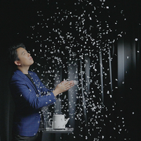 Snowflake SG by Bond Lee and ZF Magic - Trick