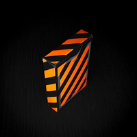 Broken Borders 2020 Playing Cards by The New Deck Order