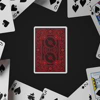 404 Playing Cards by Vanishing Inc