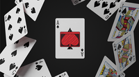 404 Playing Cards by Vanishing Inc
