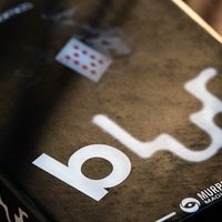 Bicycle Blur Red (Mandolin Back) by Mathieu Bich and Garrett Thomas