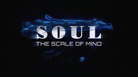 SOUL (Gimmicks and Online Instructions) by Wenzi - Trick
