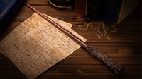 Fireball Wand (The Spellcaster) Magic Shooting Wizard's Wand - Trick
