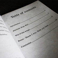 A Double Tour by Gabriel Werlen & Marchand de trucs & Mindbox - Book